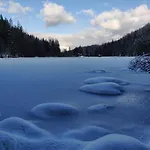 Апартаменты Beim Tischler *