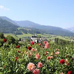 Beim Tischler * Vorderstoder