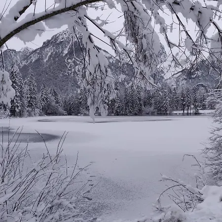 Beim Tischler * Vorderstoder
