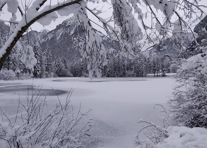 Beim Tischler * Vorderstoder