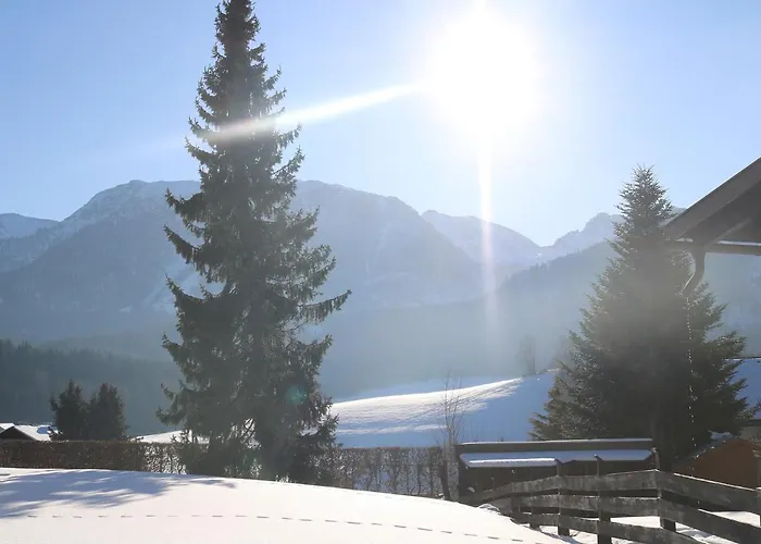 Beim Tischler Vorderstoder