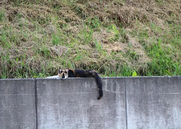 Διαμέρισμα Beim Tischler Vorderstoder