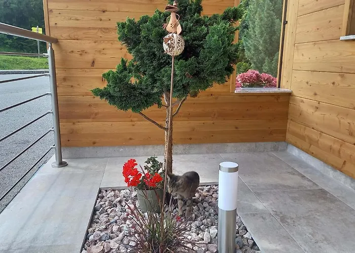 Beim Tischler Апартаменты